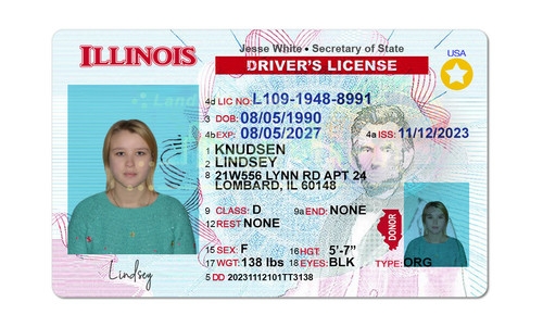 LINDSEY KNUDSEN.jpg