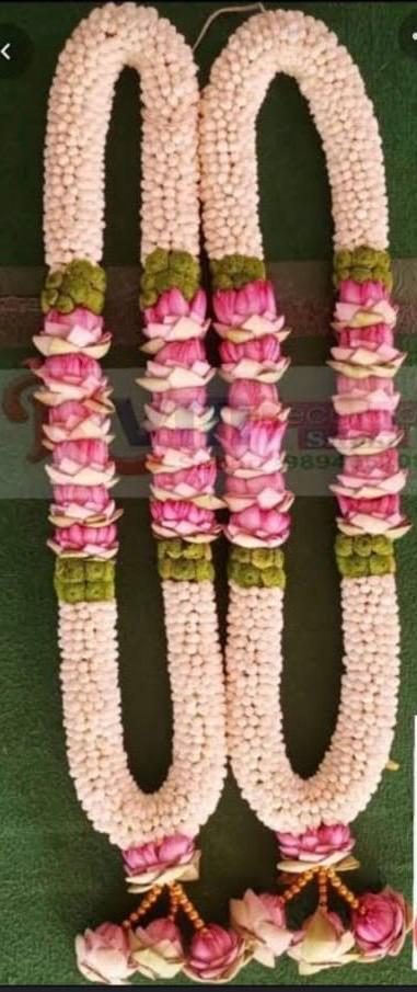 c54cb4ea 74c3 473d 96ca 6ecb7654bb39.jpg