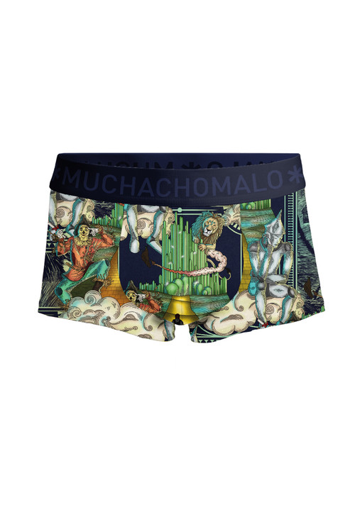 PUSSBOOTSWIZARDOZ3025 04 03.jpg