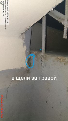 79.jpg