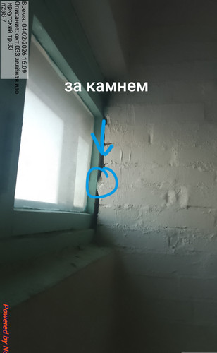 88.jpg