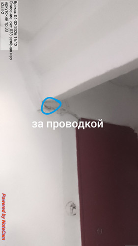 81.jpg
