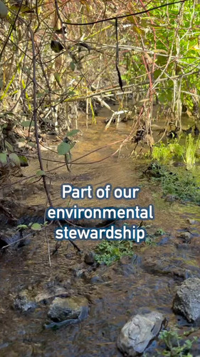 W5 K5VCmBt6xzu7J.jpg