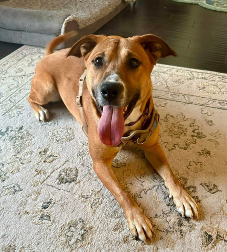 HAP4O3lWwAAL7M ?format=jpg.jpg