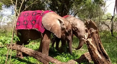 lbr AxOUWttfKmQ6.jpg