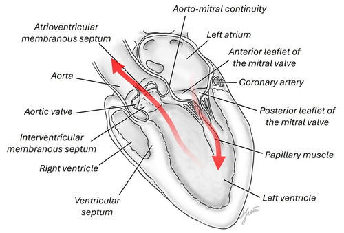 HAK4ZSuWQAAbpe ?format=jpg.jpg
