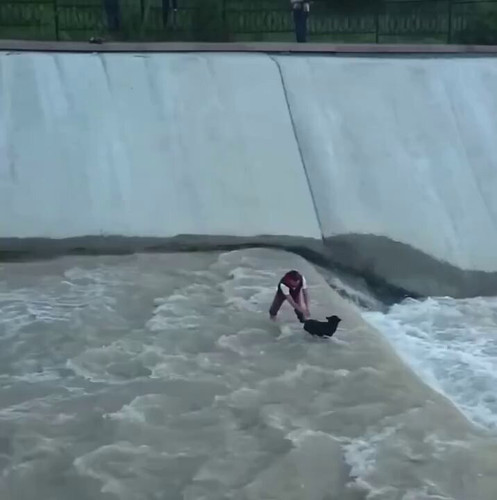 O pJCobpDlxzVOOt.jpg