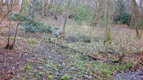 kYb9zfJmrD bro3x.jpg