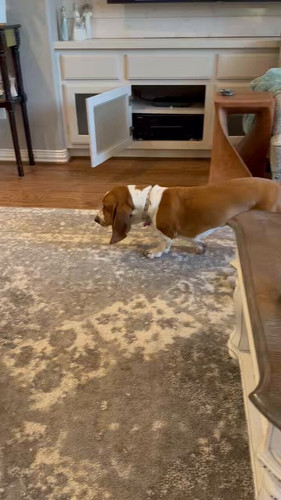 tdP8MW D1 czHt36.jpg