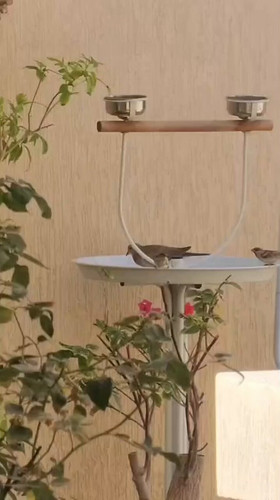 uzMP8mzcjGGqW m .jpg