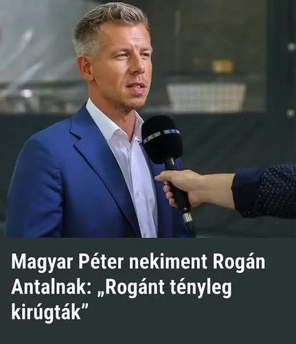 624527201 122119123569009160 5197924935298127038 n.webp?stp=dst jpg s590x590 tt6& nc cat=100&ccb=1 7.jpg