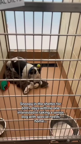 dcHHx5 1v925CuDw.jpg