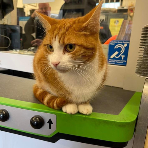 625841403 1345892697577142 3662550137631981144 n.jpg