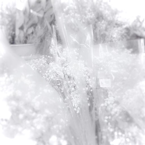fcb4f9795dd79fce16299cf0263566f1.png