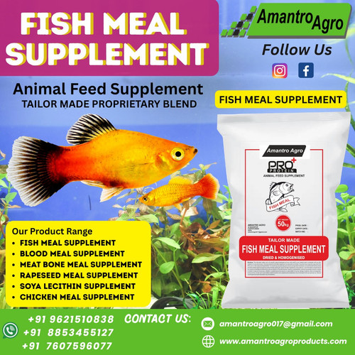 Fish Meal Supplement Supplier for Poultry.jpg