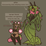 img 2026 02 04 00 10 00.png