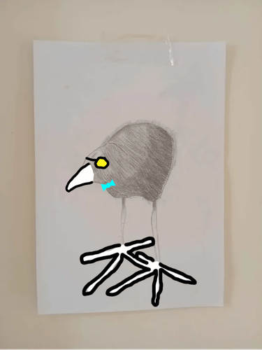 IMG 20260203 121517 185.png