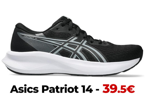 asics patriot 14n.jpg