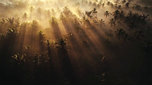 E q ojjOIChzTIq8.jpg