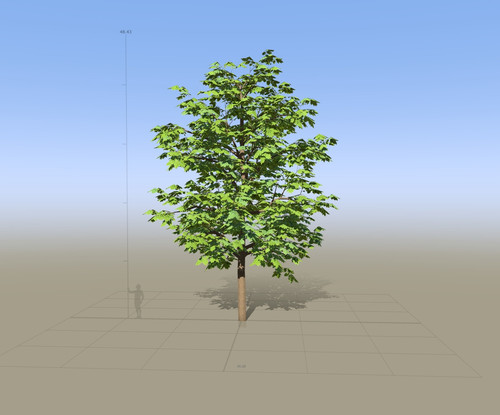 7863 SpeedTree Modeler.jpg