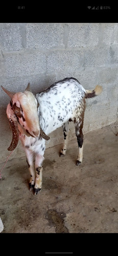 scaled 1000231016.jpg