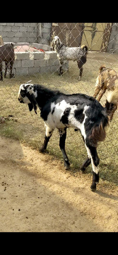 scaled 1000231017.jpg