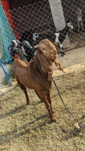 scaled 1000211979.jpg