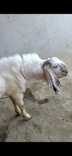 scaled 1000231014.jpg