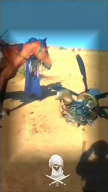 DU7qGBjBp7Z RvWg.jpg