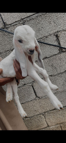 scaled 1000231059.jpg