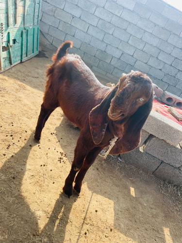 scaled 1000231061.jpg