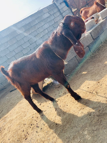 scaled 1000231060.jpg