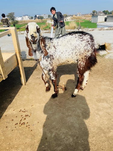 scaled 1000231057.jpg