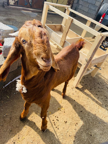 scaled 1000231073.jpg