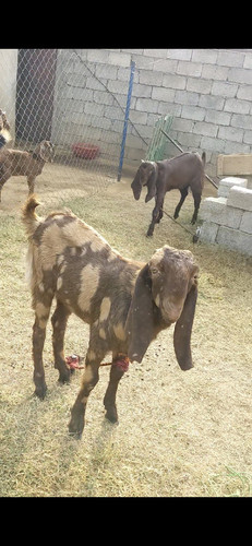 scaled 1000231030.jpg