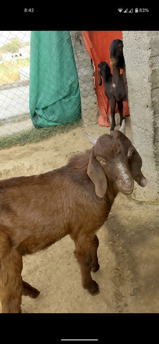 scaled 1000231019.jpg