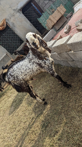 scaled 1000211980.jpg