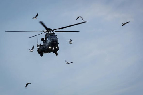 540692056 1188416619992233 99259791702270361 n.jpg?stp=dst jpg s590x590 tt6& nc cat=104&ccb=1 7& nc .jpg