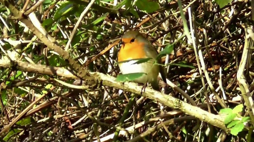 8kFS MHVj B0OKCc.jpg