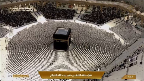 IKTpi1QjGkdO Bfk.jpg