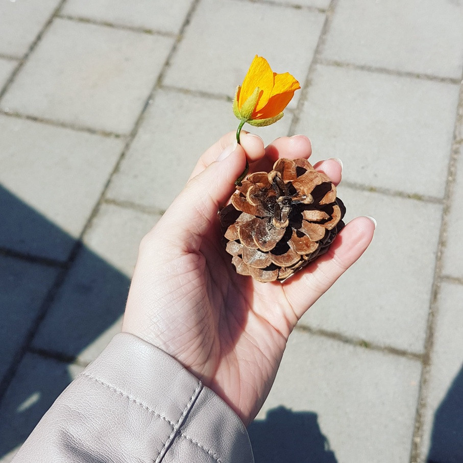 En toen sloeg de paniek toe…