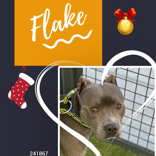 G7CLbpcbMAANAt ?format=jpg.jpg