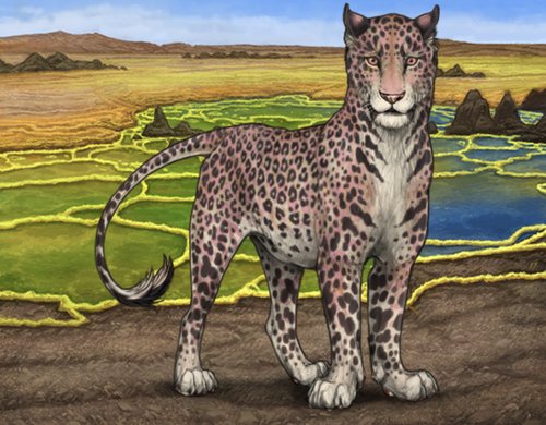 Screenshot 2025 12 06 at 12.01.17 PM.png