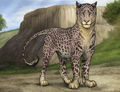 Screenshot 2025 12 06 at 11.59.29 AM.png