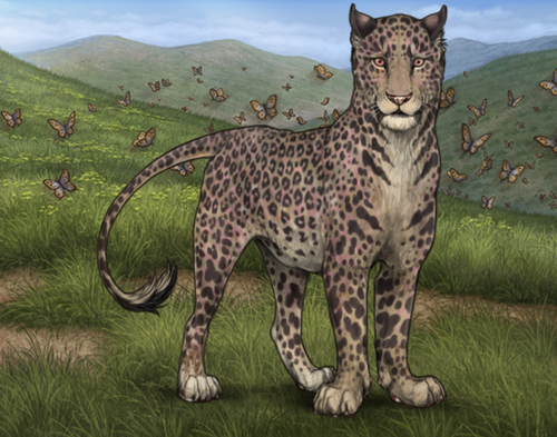 Screenshot 2025 12 06 at 12.03.10 PM.png