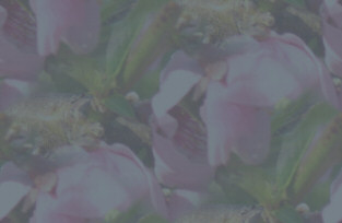 mdbb04tile1.jpg