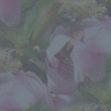 mdbb04tile1