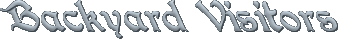 mdbb04words.gif