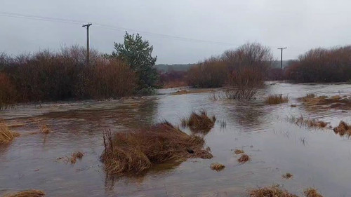 PMtxam18JB dqytT.jpg