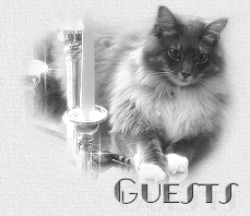 candleguestbook.gif